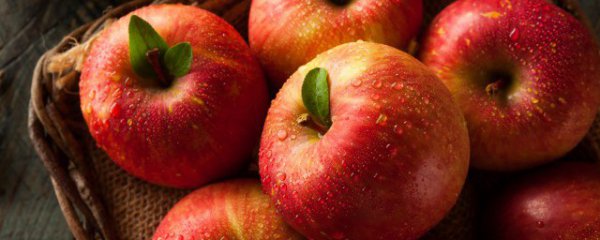 红玉苹果如何储存保鲜方法