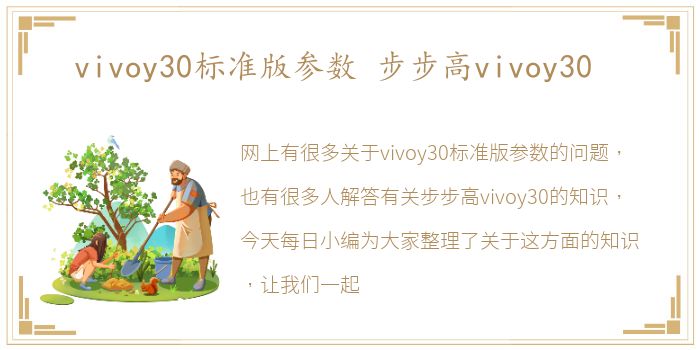 vivoy30标准版参数 步步高vivoy30