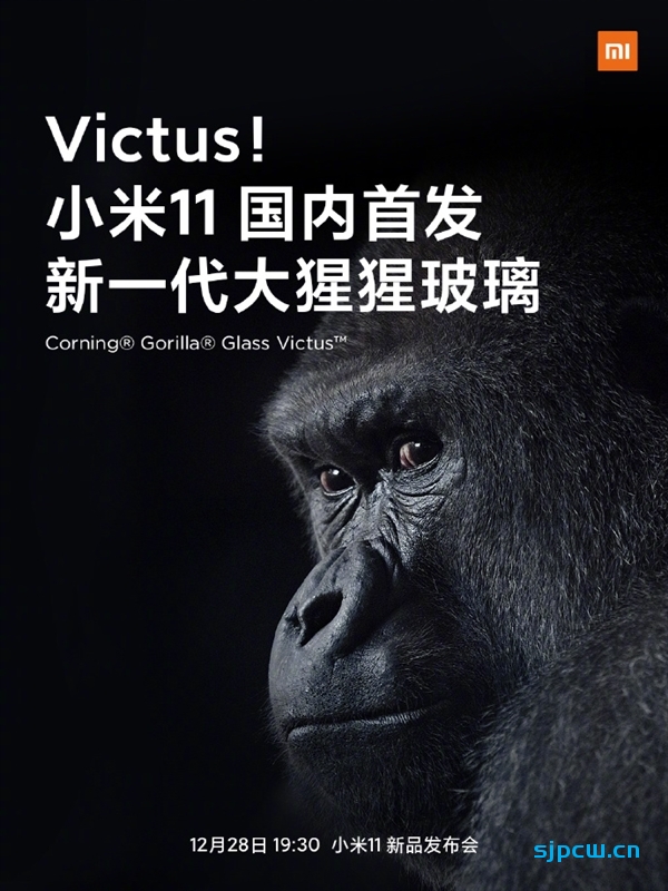 更强的抗跌落性能，小米11将国内首发康宁大猩猩Victus保护玻璃
