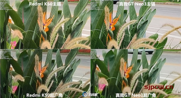 真我GT Neo3相机拍照评测，对比红米K50/小米11 Ultra
